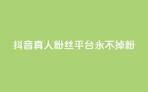 抖音真人粉丝平台 永不掉粉,ks粉丝业务怎么接 - QQ个性赞充值 抖音业务1000赞下单  第1张