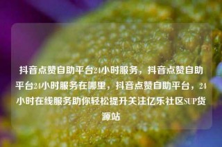 抖音点赞自助平台24小时服务，抖音点赞自助平台24小时服务在哪里，抖音点赞自助平台，24小时在线服务助你轻松提升关注亿乐社区SUP货源站