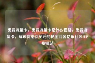 免费流量卡，免费流量卡是什么套路，免费流量卡，解锁网络新纪元的秘密武器亿乐社区SUP货源站