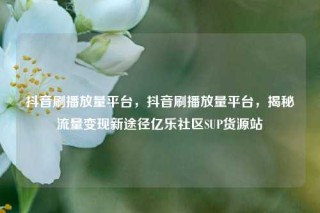 抖音刷播放量平台，抖音刷播放量平台，揭秘流量变现新途径亿乐社区SUP货源站