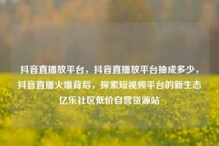 抖音直播放平台，抖音直播放平台抽成多少，抖音直播火爆背后，探索短视频平台的新生态亿乐社区低价自营货源站