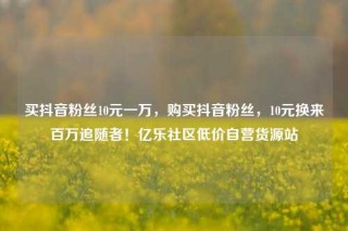 买抖音粉丝10元一万，购买抖音粉丝，10元换来百万追随者！亿乐社区低价自营货源站