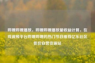 哔哩哔哩播放，哔哩哔哩播放量收益计算，在线视频平台哔哩哔哩的热门节目推荐亿乐社区低价自营货源站