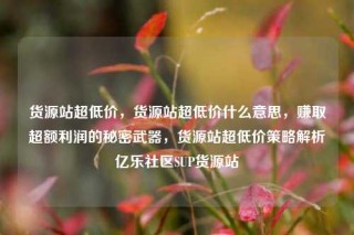 货源站超低价，货源站超低价什么意思，赚取超额利润的秘密武器，货源站超低价策略解析亿乐社区SUP货源站