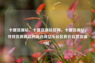 卡盟货源站，卡盟货源站官网，卡盟货源站，寻找优质商品的新选择亿乐社区低价自营货源站
