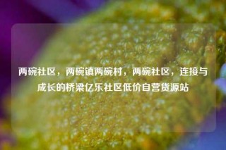 两碗社区，两碗镇两碗村，两碗社区，连接与成长的桥梁亿乐社区低价自营货源站