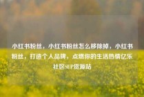 小红书粉丝，小红书粉丝怎么移除掉，小红书粉丝，打造个人品牌，点燃你的生活热情亿乐社区SUP货源站