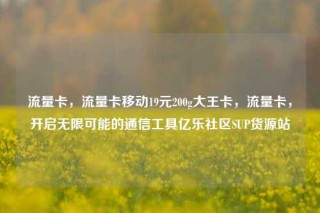 流量卡，流量卡移动19元200g大王卡，流量卡，开启无限可能的通信工具亿乐社区SUP货源站