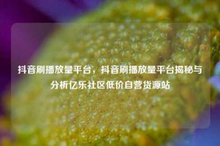 抖音刷播放量平台，抖音刷播放量平台揭秘与分析亿乐社区低价自营货源站