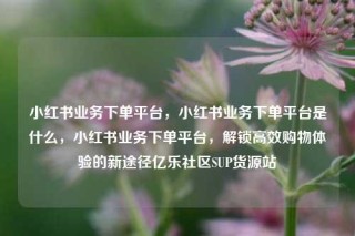 小红书业务下单平台，小红书业务下单平台是什么，小红书业务下单平台，解锁高效购物体验的新途径亿乐社区SUP货源站