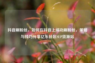 抖音刷粉丝，如何在抖音上成功刷粉丝，策略与技巧分享亿乐社区SUP货源站