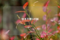 快手下单24小时