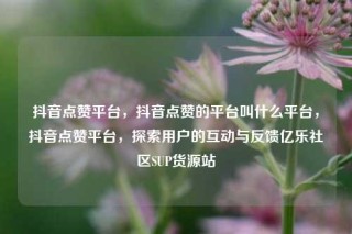 抖音点赞平台，抖音点赞的平台叫什么平台，抖音点赞平台，探索用户的互动与反馈亿乐社区SUP货源站