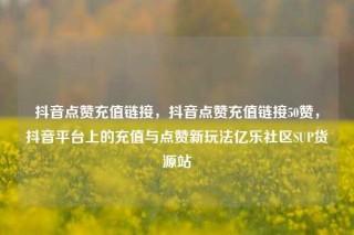 抖音点赞充值链接，抖音点赞充值链接50赞，抖音平台上的充值与点赞新玩法亿乐社区SUP货源站