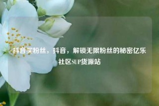 抖音买粉丝，抖音，解锁无限粉丝的秘密亿乐社区SUP货源站