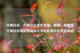 代刷社区，代刷社区低价货源，揭秘，隐藏在代刷社区背后的真相亿乐社区低价自营货源站
