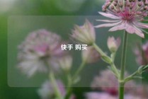 快手 购买