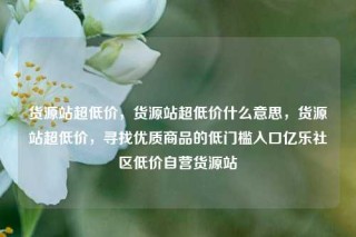 货源站超低价，货源站超低价什么意思，货源站超低价，寻找优质商品的低门槛入口亿乐社区低价自营货源站