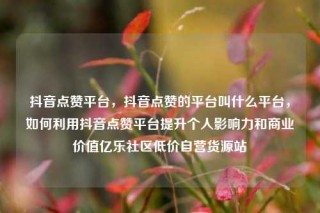 抖音点赞平台，抖音点赞的平台叫什么平台，如何利用抖音点赞平台提升个人影响力和商业价值亿乐社区低价自营货源站