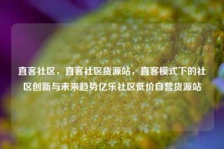 直客社区，直客社区货源站，直客模式下的社区创新与未来趋势亿乐社区低价自营货源站