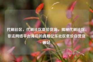 代刷社区，代刷社区低价货源，揭秘代刷社区，非法网络平台背后的真相亿乐社区低价自营货源站