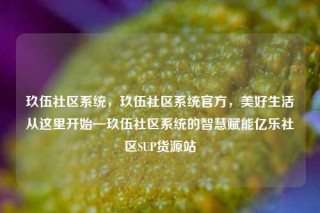 玖伍社区系统，玖伍社区系统官方，美好生活从这里开始—玖伍社区系统的智慧赋能亿乐社区SUP货源站
