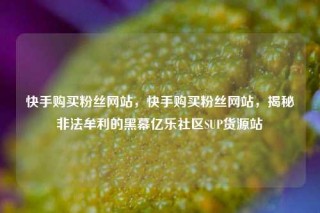 快手购买粉丝网站，快手购买粉丝网站，揭秘非法牟利的黑幕亿乐社区SUP货源站