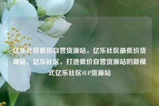 亿乐社区低价自营货源站，亿乐社区最低价货源站，亿乐社区，打造低价自营货源站的新模式亿乐社区SUP货源站