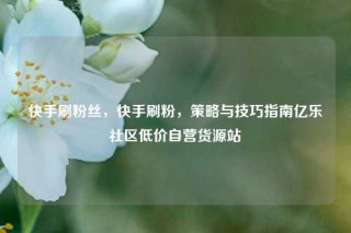 快手刷粉丝，快手刷粉，策略与技巧指南亿乐社区低价自营货源站