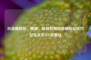 抖音刷粉丝，揭秘，如何利用抖音刷粉丝技巧亿乐社区SUP货源站