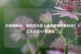 抖音刷粉丝，如何在抖音上成功刷取大量粉丝？亿乐社区SUP货源站