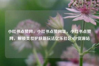 小红书点赞网，小红书点赞网址，小红书点赞网，解锁美妆护肤新玩法亿乐社区SUP货源站