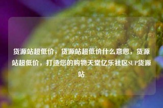 货源站超低价，货源站超低价什么意思，货源站超低价，打造您的购物天堂亿乐社区SUP货源站