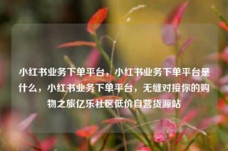 小红书业务下单平台，小红书业务下单平台是什么，小红书业务下单平台，无缝对接你的购物之旅亿乐社区低价自营货源站