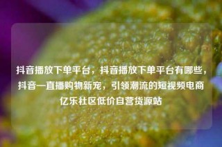抖音播放下单平台，抖音播放下单平台有哪些，抖音—直播购物新宠，引领潮流的短视频电商亿乐社区低价自营货源站