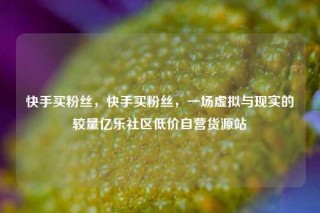 快手买粉丝，快手买粉丝，一场虚拟与现实的较量亿乐社区低价自营货源站