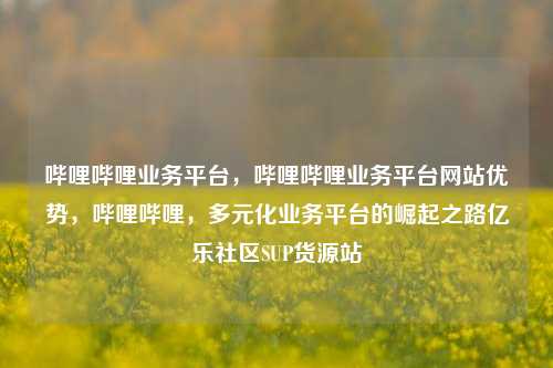 哔哩哔哩业务平台，哔哩哔哩业务平台网站优势，哔哩哔哩	，多元化业务平台的崛起之路亿乐社区SUP货源站  第1张