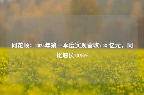 同花顺：2025年第一季度实现营收7.48 亿元	，同比增长20.90%  第1张