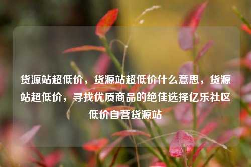 货源站超低价，货源站超低价什么意思，货源站超低价	，寻找优质商品的绝佳选择亿乐社区低价自营货源站  第1张