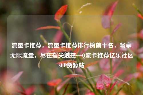 流量卡推荐	，流量卡推荐排行榜前十名，畅享无限流量，尽在指尖触控—Q流卡推荐亿乐社区SUP货源站  第1张
