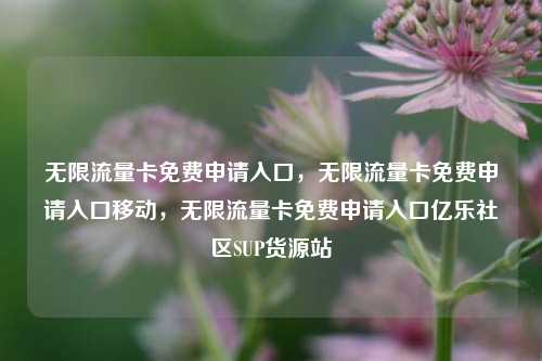 无限流量卡免费申请入口，无限流量卡免费申请入口移动	，无限流量卡免费申请入口亿乐社区SUP货源站  第1张