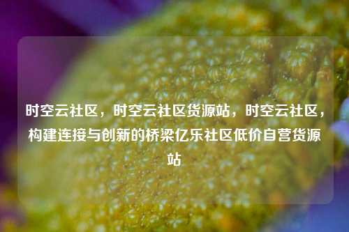 时空云社区，时空云社区货源站	，时空云社区，构建连接与创新的桥梁亿乐社区低价自营货源站  第1张