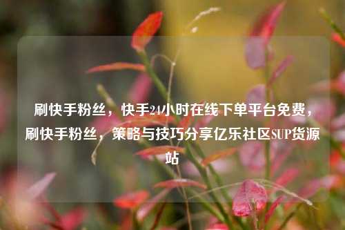 刷快手粉丝，快手24小时在线下单平台免费，刷快手粉丝，策略与技巧分享亿乐社区SUP货源站  第1张