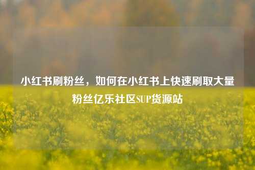 小红书刷粉丝	，如何在小红书上快速刷取大量粉丝亿乐社区SUP货源站  第1张