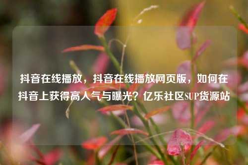 抖音在线播放，抖音在线播放网页版，如何在抖音上获得高人气与曝光？亿乐社区SUP货源站  第1张