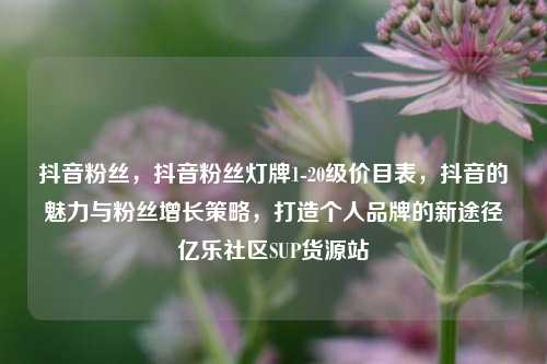 抖音粉丝，抖音粉丝灯牌1-20级价目表，抖音的魅力与粉丝增长策略	，打造个人品牌的新途径亿乐社区SUP货源站  第1张
