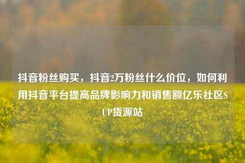 抖音粉丝购买，抖音2万粉丝什么价位	，如何利用抖音平台提高品牌影响力和销售额亿乐社区SUP货源站  第1张