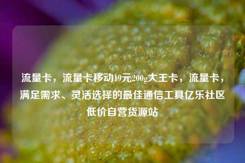 流量卡，流量卡移动19元200g大王卡，流量卡	，满足需求	、灵活选择的最佳通信工具亿乐社区低价自营货源站  第1张