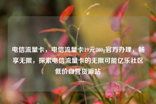 电信流量卡，电信流量卡19元200g官方办理	，畅享无限，探索电信流量卡的无限可能亿乐社区低价自营货源站  第1张