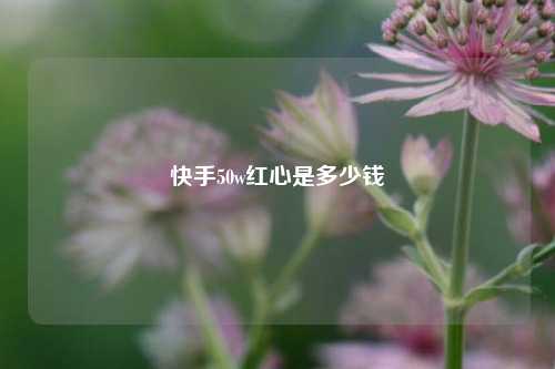 快手50w红心是多少钱  第1张